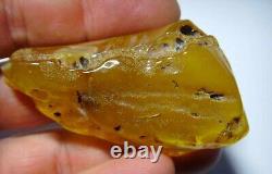 Raw Amber stone Natural Baltic Amber Raw Stone gemstone amber 27.48grams N-9