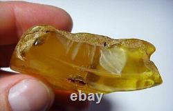 Raw Amber stone Natural Baltic Amber Raw Stone gemstone amber 27.48grams N-9
