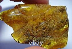 Raw Amber stone Natural Genuine Baltic Amber Stone 32.10gr. N64