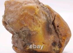 Raw Baltic amber stone 186g natural rough tesbih misbah kahraman from Ukraine