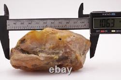 Raw Baltic amber stone 186g natural rough tesbih misbah kahraman from Ukraine