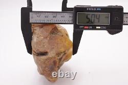 Raw Baltic amber stone 186g natural rough tesbih misbah kahraman from Ukraine