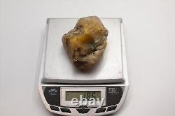 Raw Baltic amber stone 186g natural rough tesbih misbah kahraman from Ukraine