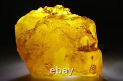 Raw Baltic amber stone 79g natural rough tesbih misbah kahraman from Ukraine