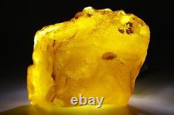 Raw Baltic amber stone 79g natural rough tesbih misbah kahraman from Ukraine