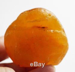 Raw Baltic fossil Sea amber natural collectors specimen 41.6 grams