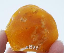 Raw Baltic fossil Sea amber natural collectors specimen 41.6 grams