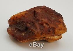 Raw Stone Amber Natural Baltic White 252g Vintage Old Rare Sea Huge Big A-141