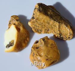 Raw amber 3 stones rough 113g natural Baltic white DIY