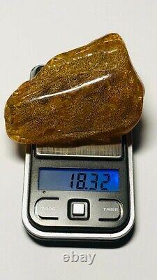 Raw amber stone 100% Natural Baltic amber piece amber raw Genuine amber