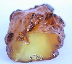 Raw amber stone 222.0g beeswax butterscotch natural Baltic DIY