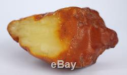 Raw amber stone 227.6g wax butterscotch 100% natural Baltic