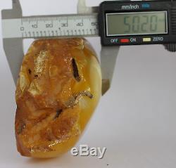 Raw amber stone 254.0g white eggyolk 100% natural Baltic