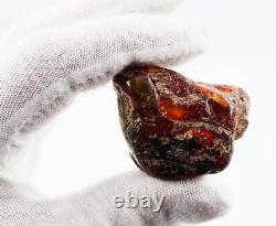 Raw amber stone Genuine Baltic amber stone amber piece Natural Amber Raw