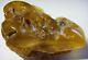 Raw amber stone Natural Baltic Amber piece amber genuine amber stone true amber