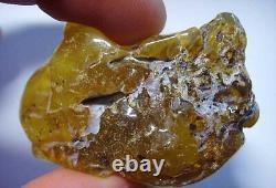 Raw amber stone Natural Baltic Amber piece amber raw genuine amber stone