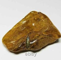 Raw amber stone rock 18gr. Pendant 100% Natural Baltic kahrab kahrman misbah
