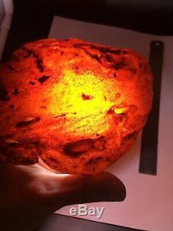 Raw amber stone rock 245 gr bernstein natural Baltic