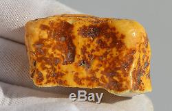 Raw amber stone white rough 20.4g natural Baltic beeswax DIY