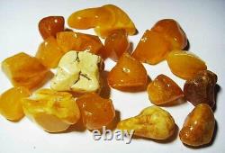 Raw amber stones Natural Baltic Amber Raw amber gemstone amber pieces