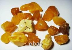Raw amber stones Natural Baltic Amber Raw untreated loose amber gemstone amber