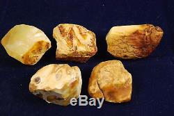 Raw amber stones white rough 66gr natural Baltic