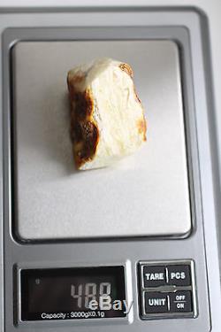 Raw amber white stone rough 48.8g natural Baltic beeswax