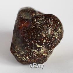 Raw amber white stone rough 56.2g natural Baltic beeswax