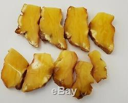 Stone 9-Pieces Cut From One Stone Amber Natural Baltic 279,8g Vintage Old A-251