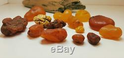 Stone Natural Baltic Amber 14-Pieces Raw 65,6g Vintage Old White Exlusive C-484