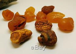 Stone Natural Baltic Amber Many Raw Stones 27,3g 11-Pieces Brain Rare Sea A-099