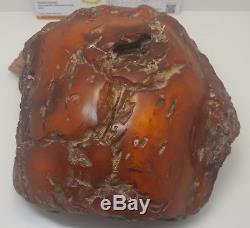 Stone Natural Baltic Amber Raw 1482g Vintage Butterscotch Rare Exlusive White
