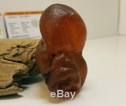 Stone Natural Baltic Amber Raw 32.9g Vintage Butterscotch Rare Exlusive R-020