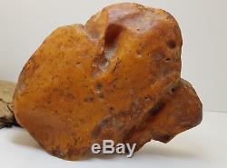 Stone Natural Baltic Amber Raw 635.5g Vintage Butterscotch Rare Exlusive White