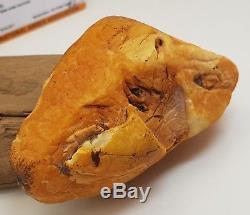 Stone Raw Amber Natural Baltic Big Huge 109,1g Butterscotch Old Rare White D-202