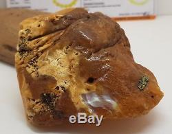 Stone Raw Amber Natural Baltic Big Huge 188,3g Butterscotch Old Rare White D-201