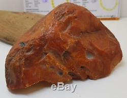 Stone Raw Amber Natural Baltic Big Huge 253,6g Butterscotch Old Rare White A-324