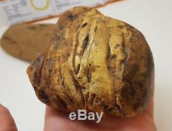 Stone Raw Amber Natural Baltic Big Huge 299g Butterscotch Old Rare White F-1001