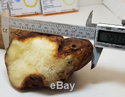 Stone Raw Amber Natural Baltic Big Huge 330g Butterscotch Old Rare White F-289