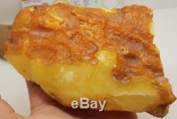 Stone Raw Amber Natural Baltic Big Huge 333g Butterscotch Old Rare White D-198
