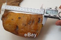 Stone Raw Amber Natural Baltic Big Huge 400g Butterscotch Old Rare White D-197