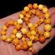 T Natural Genuine Butterscotch Egg Yolk Baltic Amber Necklace