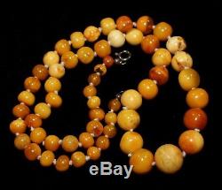 T Natural Genuine Butterscotch Egg Yolk Baltic Amber Necklace