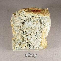 TOP Natural Baltic AMBER Stone rough 146 gr Bernstein #350 EGG YOLK BUTTERSCOTCH