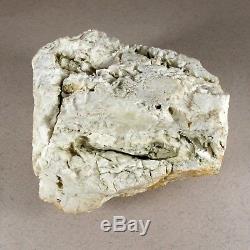 TOP Natural Baltic AMBER Stone rough 146 gr Bernstein #350 EGG YOLK BUTTERSCOTCH