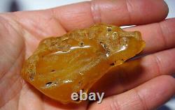 Unique Large Amber Stone, Natural amber stone Collector's Piece Amber raw piece