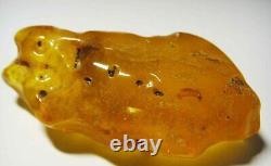 Unique Large Amber Stone Natural amber stone Collector's Piece Genuine Amber raw
