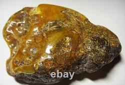 Unique Large Amber Stone, Natural baltic amber stone raw large amber gemstone