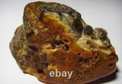 Unique Large Amber Stone, Natural baltic amber stone raw large genuine amber