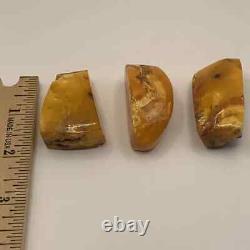 VTG Genuine Shaped Baltic 3 Amber Stone